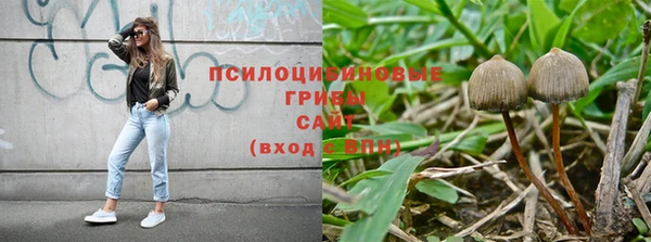 дурь Армянск