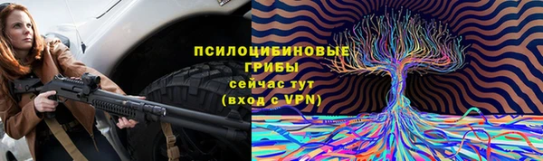гашик Алексеевка